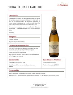 SIDRA EXTRA EL GAITERO - 6 botellas 2