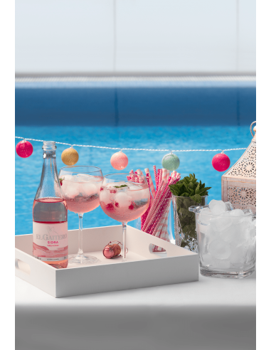 SIDRA EL GAITERO ROSE - 6 botellas