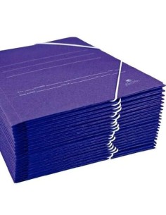 CARPETA CARTON AZUL CON SOLAPAS 2