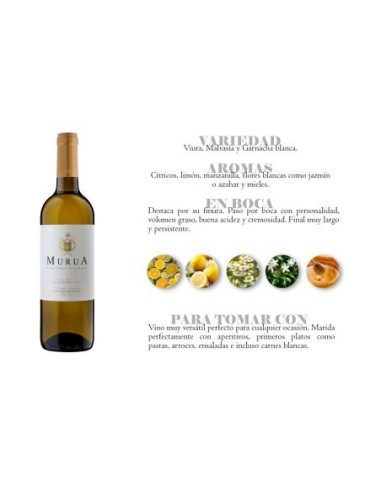 MURUA BLANCO FERMENTADO EN BARRICA 2023- 3 Bot