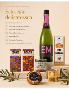 Cesta FOLCS